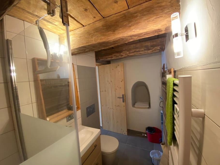 Dans Hameau, Pres Des Pistes Logement De Plein Pied Au Calme タナンジュ エクステリア 写真